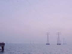 -宝安西湾红树林湿地公园