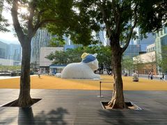 -深圳湾万象城(南山店)