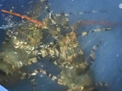 -金源餐馆