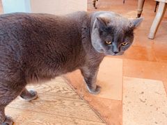 -Me Coffee下午茶艺术空间