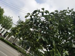 -重庆欢乐海底世界