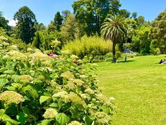 -墨尔本皇家植物园