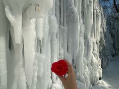 -长春世界雕塑园冰雪艺术天地