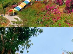 -芽庄珍珠岛游乐园
