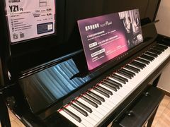 -雅歌音乐培训中心·钢琴培训·乐器培训(交道口店)