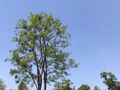 -济南国际园博园