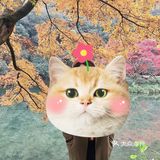九溪十八涧山中最胜处