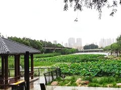 -北陵公园