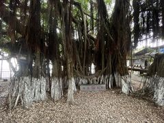 -胡里山炮台