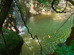 -阳台山森林公园