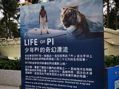 -白沙湾海滩