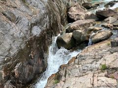 -广州白江湖森林公园