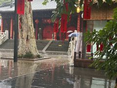 -灵谷景区
