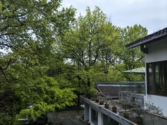 -山外山菜馆(玉泉路店)