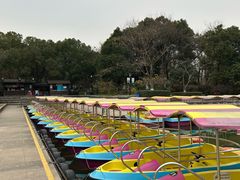 -圩墩遗址公园