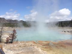Old&nbsp;Faithful-老忠实间歇泉