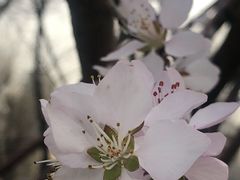 -乌鲁木齐市第二十三中学
