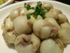 -滇铺子·云南特色菜·第九届野生菌美食节(东风东路c86店)