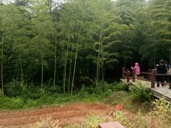 -陶祖圣境风景区