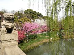 -圩墩遗址公园