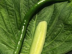 -农乐园炭火烤肉(繁花中心店)