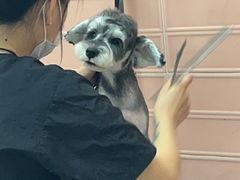 -FAELING PETS美天灵宠物(合生汇店)
