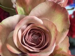-拾花记花艺·求婚·订婚·生日布置(高新店)
