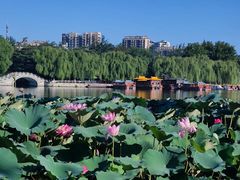 -济南大明湖景区
