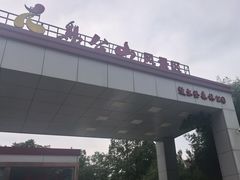 -波尔登森林公园
