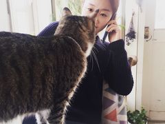 -海边的猫和咖啡馆