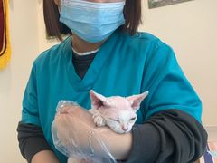 -美迦爱-牙专科·兔科·骨科诊疗中心(北苑店)