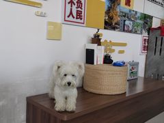 -seeu coffee(江滩店)