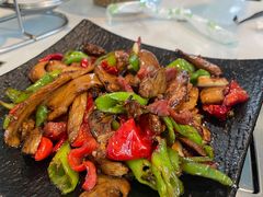 -蘑统田下·野生菌火锅