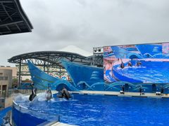 -上海海昌海洋公园