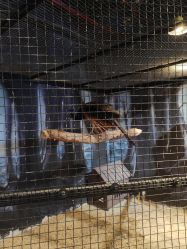 -酷嗒动物文化乐园(cutezoo西溪乐天城店)