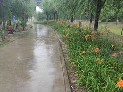 -门城湖公园