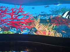 -唐宫足道·SPA·住宿24H会所(木渎店)