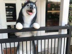 -TrueLove @ Neverland (Husky Cafe)