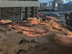 -自贡恐龙博物馆