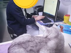 -宠颐生中康贝怡动物医院