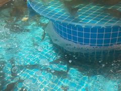 -蓝珊甄选海鲜自助·火锅大排档(近阿那亚店)
