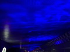 -白鹤梁水下博物馆