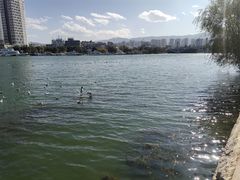 -大理洱海