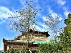 -武汉大学-樱园