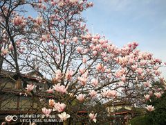 -浙江省博物馆(孤山馆区)