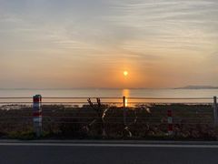 -香雪海