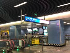 -大龙山(地铁站)