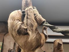 -正佳雨林生态植物园
