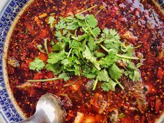 水煮三角峰-胖大姐黄辣丁鱼庄(新津店)