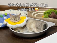 -咕噜咕噜宠物医院·CT·肿瘤科·骨科(前海院)